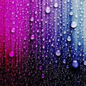 Meet your Posher, Zoe